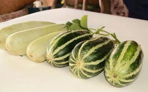 51娱乐网红吃瓜