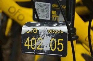 娱乐吃瓜群众分享视频