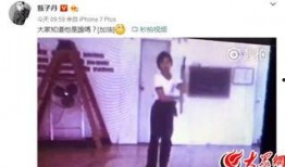 爆料功夫视频大全,揭秘武林高手绝技，一招一式尽收眼底