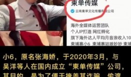 柬埔寨小六爆料五黑视频,揭秘网络黑幕背后的真相