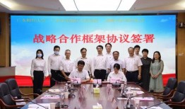 广州财经爆料新闻最新,揭秘XX企业惊人内幕！