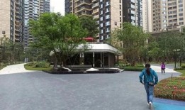 重庆花园爆料视频播放,揭秘神秘花园背后的故事