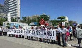 石家庄爆料赵县最新消息,石家庄爆料揭示最新发展情况