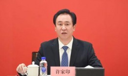 许家印负债新闻爆料,许家印巨额债务曝光引发市场震动”