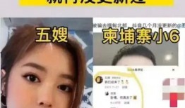 柬埔寨小六爆料五黑视频,揭秘网络黑幕背后的真相