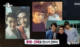 初见娱乐爆料真相,真相背后的娱乐风云