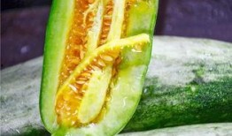 网红宏上头吃瓜,揭秘娱乐圈幕后真相