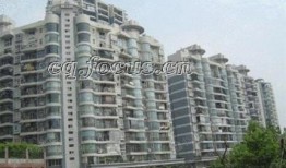 重庆花园爆料视频播放,揭秘神秘花园背后的故事