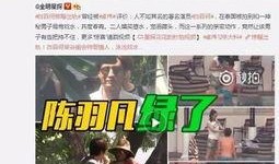 天涯爆料许凯景甜视频,娱乐圈再掀波澜