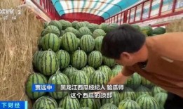 娱乐吃瓜718入口