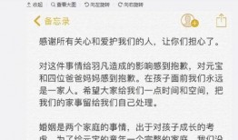卓伟爆料小男孩视频,小男孩神秘视频引发热议