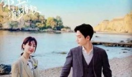 天涯爆料陈思成杨紫视频,幕后真相揭秘