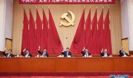 成武五中爆料新闻视频,揭秘校园热点事件背后的真相