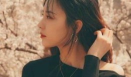 卢洋洋最新爆料新闻视频,揭秘娱乐圈惊人内幕