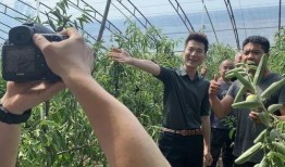 渭南农家四季在线观看,在线观看，感受田园诗意生活