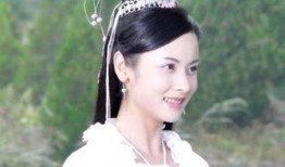 师娘在线观看,揭秘网络直播背后的情感纠葛