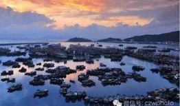 阳江闸坡新闻爆料,揭秘当地最新动态与热点事件