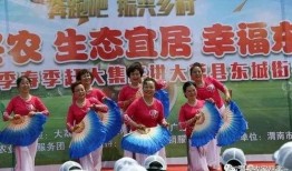 渭南农家四季在线观看,在线观看，感受田园诗意生活