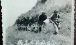 高平战役电影在线观看,烽火岁月里的英雄赞歌