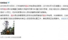 广西最新爆料视频网站,揭秘热门视频网站幕后故事