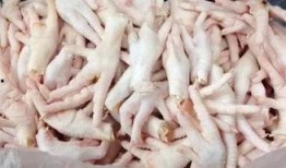 网红鸡爪进货爆料视频,揭秘热门美食背后的真相