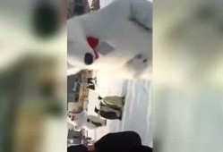 搞笑爆料东北人视频下载,搞笑爆料视频下载狂欢！