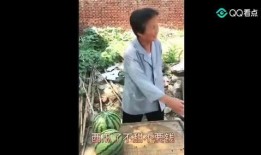 最强吃瓜者小说免费阅读,揭秘娱乐圈背后的秘密风云