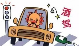 玉林醉驾最新爆料消息,警方披露惊人细节，涉案人员身份曝光