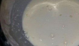 鳕鱼最新爆料新闻,揭秘娱乐圈惊人内幕