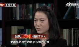 隔壁的日本妻子在线观看,揭秘日本妻子在线观看背后的故事