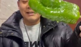 知名网红视频外流吃瓜,一场网络狂欢的真相大起底