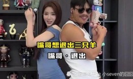 爆料泗阳主播事件视频播放,真相与争议交织