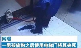 河北爆料小男孩视频播放,引发网友热议