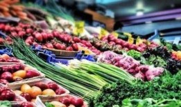 央视新闻爆料蔬菜包,蔬菜包背后的暖心故事与行业反思