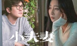 网红夫妻爆料视频大全,揭秘娱乐圈背后的真实故事