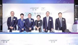 龙湖职场爆料视频曝光,揭秘职场内幕与真实面貌