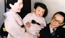 隔壁的日本妻子在线观看,揭秘日本妻子在线观看背后的故事