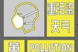 纸飞机老司机最新爆料内容,最新爆料带你领略纸飞机飞行新境界