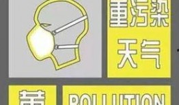 纸飞机老司机最新爆料内容,最新爆料带你领略纸飞机飞行新境界