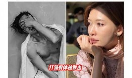 台媒葛斯齐最新爆料视频,台媒揭秘惊人内幕