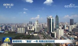 武汉三镇爆料新闻报道,爆料报道揭示球队幕后故事