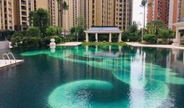 盐城教育局最新爆料电话,揭秘教育领域神秘事件