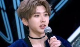 娱乐圈的吃瓜影帝多少字,揭秘明星背后的故事与争议