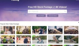 爆料短视频素材电影下载