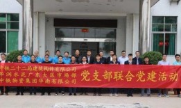 成武五中爆料新闻视频,揭秘校园热点事件背后的真相