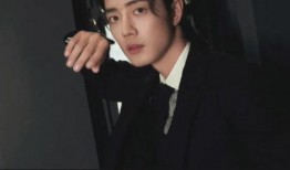 刘大锤爆料陈道明视频,揭秘娱乐圈幕后真相