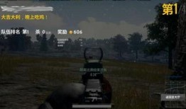 狂风吃鸡爆料视频大全,揭秘热门游戏视频爆料背后的精彩瞬间