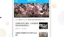 莆鱼网今日新闻爆料,最新热点事件深度解析”