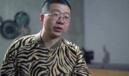 蔡老板爆料陈震视频大全,陈震视频大全背后的惊人真相