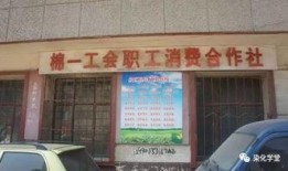 石家庄爆料赵县最新消息,石家庄爆料揭示最新发展情况